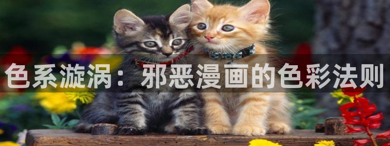 喵趣漫画官方入口在哪里
