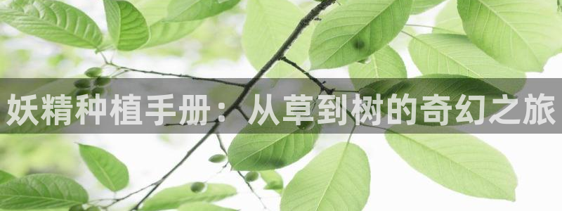 喵趣漫画官网版下载正版