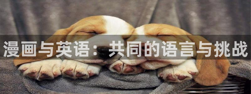 喵趣漫画正版免费
